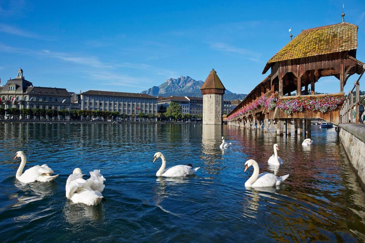 Hotel Lestelle - Self Check-In Luzern Dış mekan fotoğraf